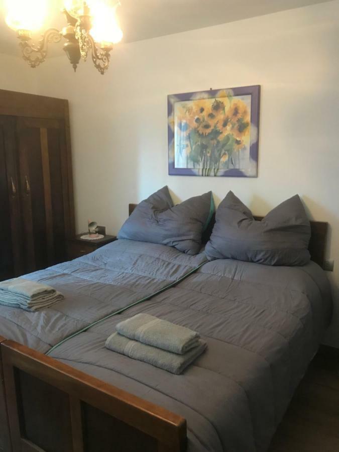 Casa Paolina - Cipat 57814 Apartment Revò Екстериор снимка