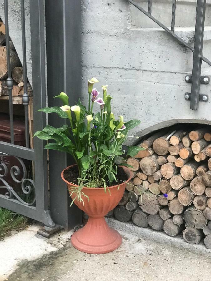 Casa Paolina - Cipat 57814 Apartment Revò Екстериор снимка
